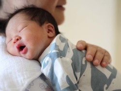 PGT实验室